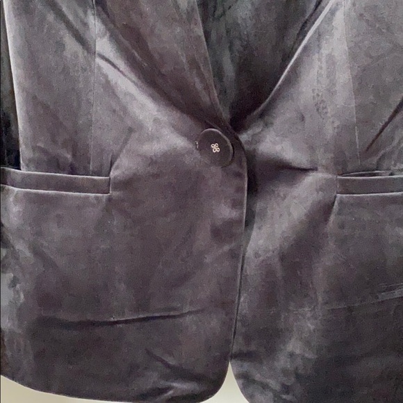 Dolce Cabo Slate Blue Suede Blazer - Picture 5 of 8